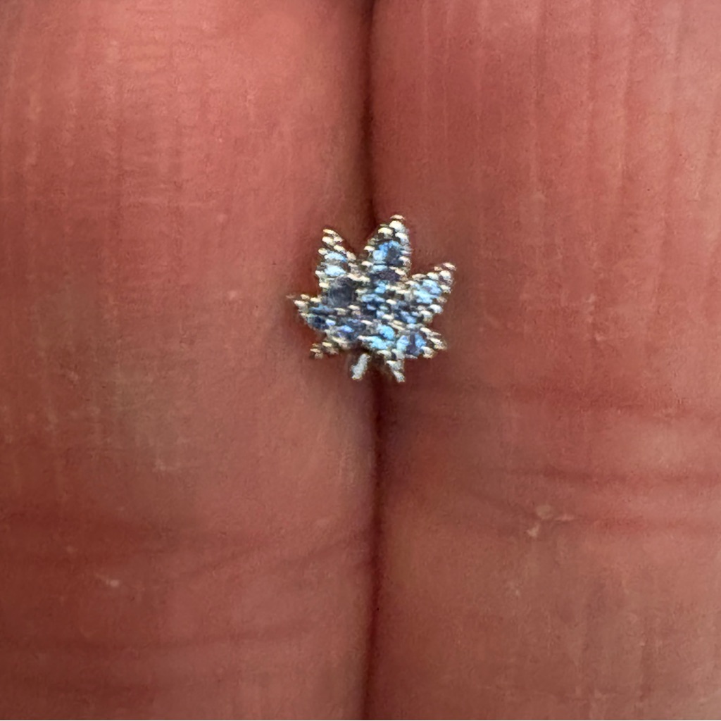 Nose Ring 20g Blue Nose Stud Surgical Steel L Shaped Nwt